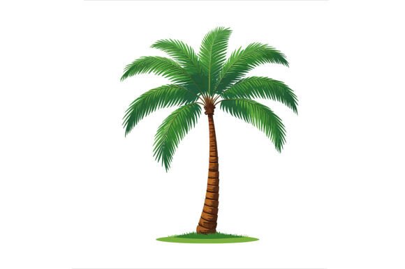 A Tropical Symbol of Summer and Vacation